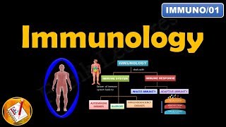 Transplantation and Graft Rejection Immunology Lecture 09 [upl. by Burley]