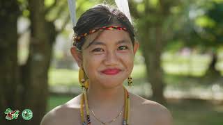 The Beauty of the Wehea Dayak Culture and Arts [upl. by Eimiaj]