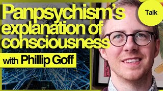 How Panpsychism Explains Consciousness  Phillip Goff [upl. by Rosemari]