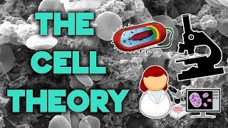 The Cell Theory  Complete Breakdown in 8 Minutes  Bio 101  STEMstream [upl. by Adnilam]