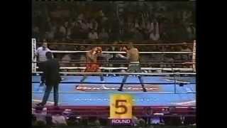 Roy Jones Jr vs Vinny Pazienza 2461995  IBF World Super Middleweight Championship [upl. by Lucretia]