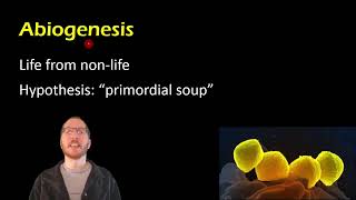 Biology Spontaneous Generation vs Biogenesis [upl. by Rabah310]