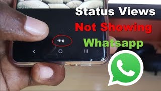 Status Views Not Showing Whatsapp Fix [upl. by Alyos416]