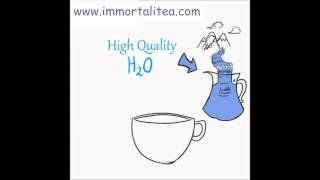 The Immortalitea Company Guide to Brewing Loose Leaf Jiaogulan Gynostemma Tea [upl. by Anera]