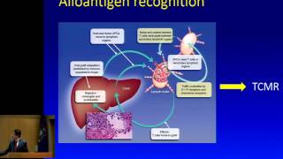 INTRODUCTION TO IMMUNE SYSTEM  IN TAMIL [upl. by Ahsaei]