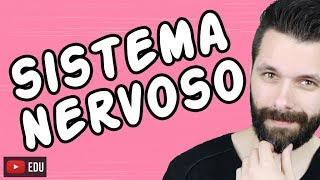 SISTEMA NERVOSO  FISIOLOGIA  Aula  Biologia com Samuel Cunha [upl. by Harlie256]