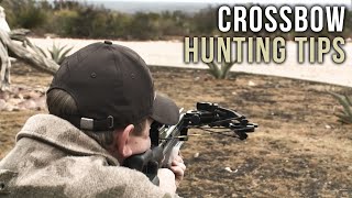 First Time Crossbow Hunting Tips [upl. by Ynattirb]