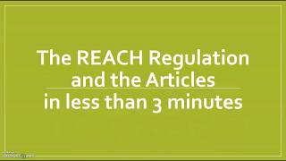 The EU REACH Regulation and the Articles [upl. by Esiuqcaj865]