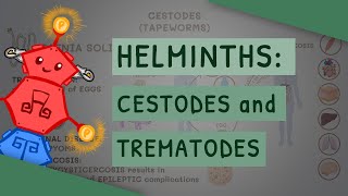 Helminths Cestodes and Trematodes transmission clinical importance and treatment [upl. by Nannaihr]