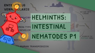 Helminths Intestinal Nematodes Part 1 features clinical importance diagnosis treatment [upl. by Dietsche]