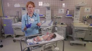 Taking a Newborns Temperature [upl. by Linea]