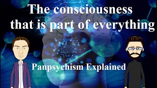 Panpsychism Explained [upl. by Cornwell756]