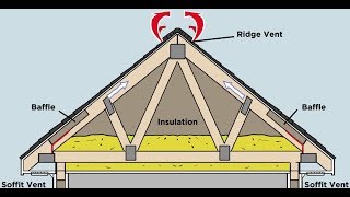 How Does Proper Attic Ventilation Protect my Roof [upl. by Saalocin]