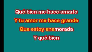 THALIA ESTOY ENAMORADO KARAOKE [upl. by Lustick]