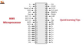 8085 Microprocessor Pin Diagram in 2 minutes Guaranteed Learn ShortcutTrick [upl. by Adnawaj287]