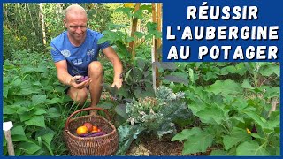 RÉUSSIR LAUBERGINE AU POTAGER ou pas [upl. by Aislehc5]