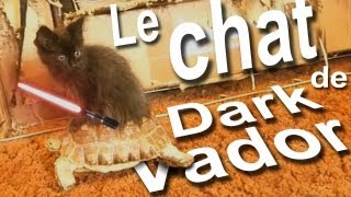 LE CHAT DE DARK VADOR  PAROLE DE CHAT [upl. by Ahsiekal301]