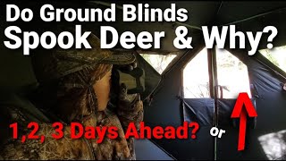 Ground Blind Hunting For Whitetail Deer [upl. by Georg150]