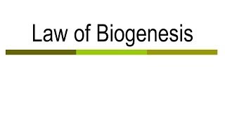 Law of Biogenesis [upl. by Herm]