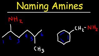 Naming Amines  IUPAC Nomenclature amp Common Names [upl. by Latsyrhk603]