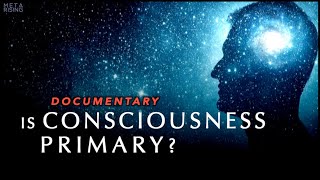 Is Consciousness Primary to Reality Documentary [upl. by Chalmer]