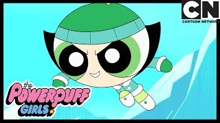 Powerpuff Girls  The Powerpuff Girls Scheme  Cartoon Network [upl. by Goody691]