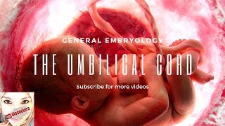 Medical embryology  The umbilical cord [upl. by Pacien541]