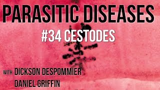 Parasitic Diseases Lectures 34 Cestodes [upl. by Nirroc]