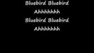 Bluebird  With Lyrics  Paul McCartney amp Wings [upl. by Stich]