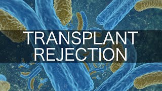 Transplant Rejection [upl. by Leyes]