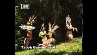 Taboh Gawai Dayak [upl. by Dorrahs824]