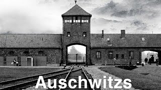 Reportage Auschwitz Camp De La Mort [upl. by Mettah]