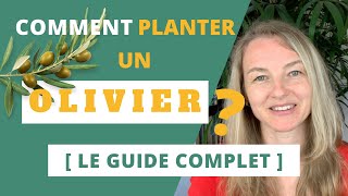 Comment planter un OLIVIER  Le guide complet [upl. by Dorfman]