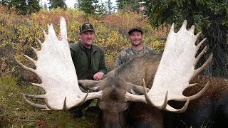 Monster 70inch Alaska bull moose and dall sheep hunt [upl. by Irrehc]