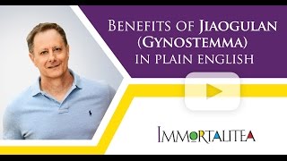 Benefits Of Jiaogulan Gynostemma in Plain English [upl. by Artep454]