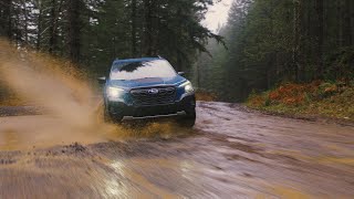 The 2022 Subaru Forester Wilderness [upl. by Jo-Anne]