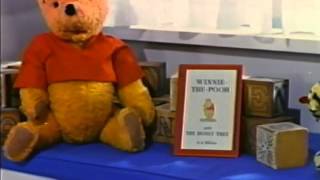 Opening to Winnie the Pooh and the Honey Tree 1993 VHS [upl. by Jacobah]