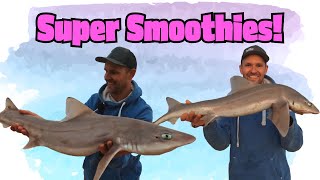 Super Smoothies [upl. by Bertasi]