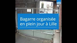 bagarre de rue organisé VIOLENT [upl. by Mashe]