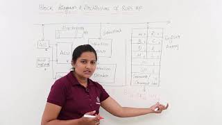 Block Diagram amp Architecture Of 8085 Microprocessor [upl. by Pinchas]